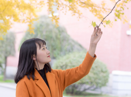 菲律宾可以补办驾照吗多少钱(补办驾照流程和价钱)